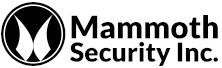 Mammoth Security Inc. New Britain