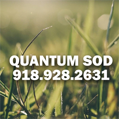 Quantum Sod