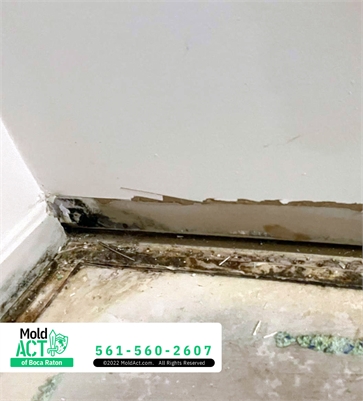 Mold Act of Boca Raton