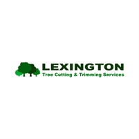 Tree Service Lexington KY Jack Smith