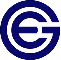  EG INS INSURANCE GROUP