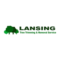 Tree Service Lansing Chris Tyson