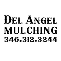  Del Angel  Mulching