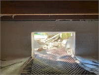 Palm Harbor Crawl Space Repair Dante  Greeves