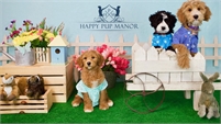  Happy Pup Manor